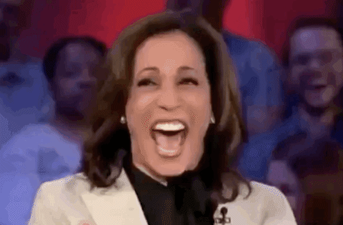 giphy_s.gif?cid=790b7611057615342051a7b1