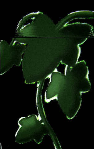 Mitsukoandco halloween green plant witch GIF