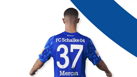 German national football team celebrating a goal, illustrating collective joy and coaching success.