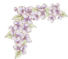 Flowers Jasmine Sticker by Pixi Beauty