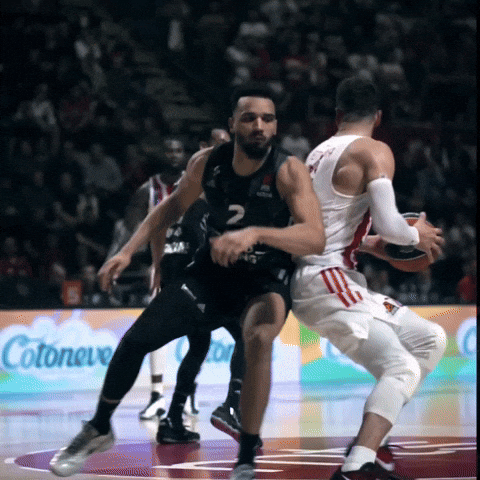 Crvena Zvezda Nedovic GIF