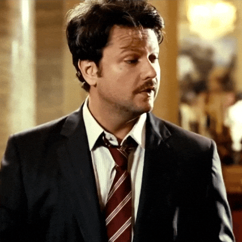 Selton Mello GIF