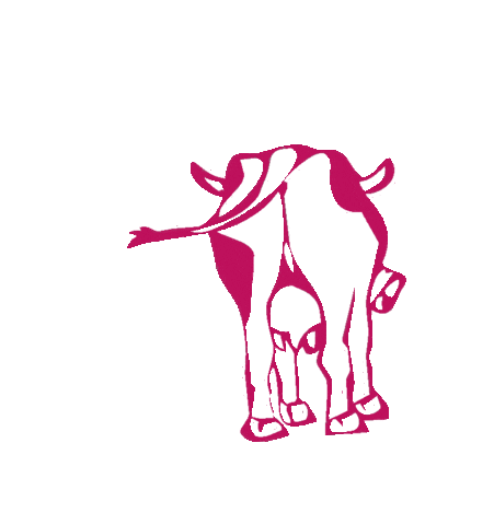Maisalm Sticker