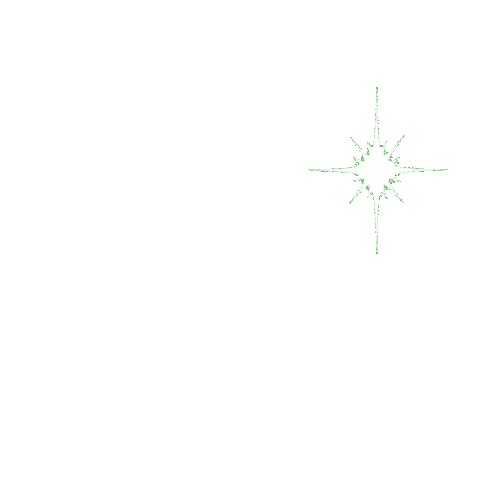 Hair Star Sticker by KAO Germany GmbH