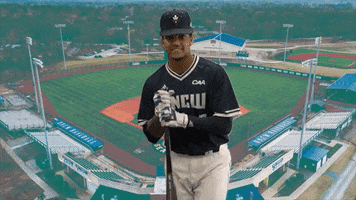 UNCW Baseball GIF