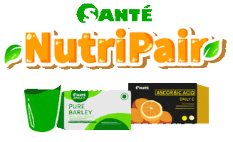 Sante Sticker