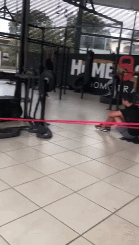 Homeostase GIF