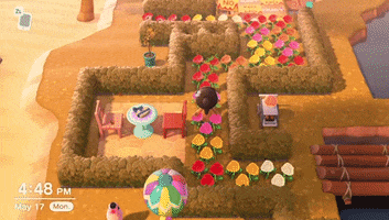 Animal Crossing Contraception GIF by Women First Digital