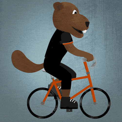 Oregon State Bicycle GIF by Oregon State University