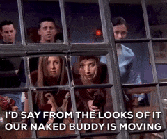 Season 5 Friends Tv Show GIF by Friends
