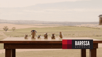 Hungry Best In Show GIF by Barossa Australia