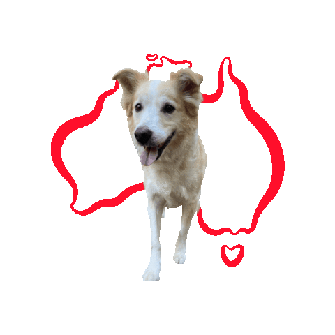 Sticker by HagenandCoRealEstate
