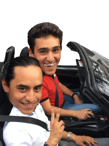 Autologia Sticker