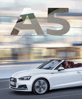 200.gif?cid=fc005b082673ab47ccb9aa74a962e44c5ec3e38f6c1c6e2f&rid=200.gif&ct=g