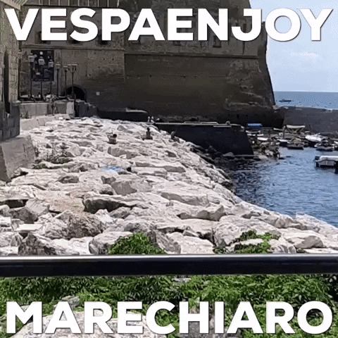 VespaEnjoy GIF