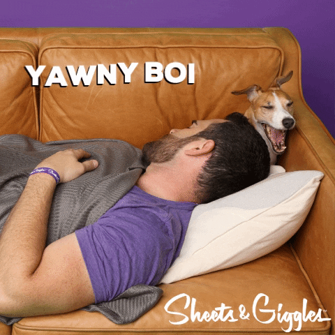 Tired Good Boy GIF by Sheets & Giggles