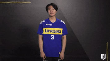 Overwatch Reaction GIF by Boston Uprising