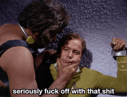 Star Trek Kirk GIF