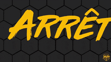 Tremblay Handball GIF