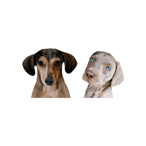 My Boys Omg Sticker by CardozaRealEstateGroup