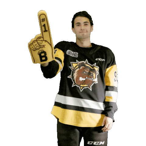 Brantford Bulldogs Sticker
