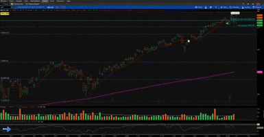Trading GIF