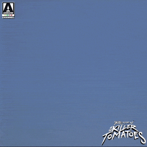 Holidayarrow GIFs Get the best GIF on GIPHY