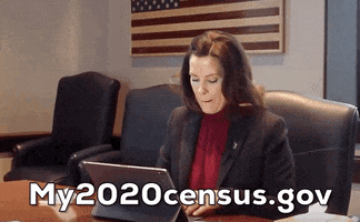 Census 2020 GIF by GIPHY News