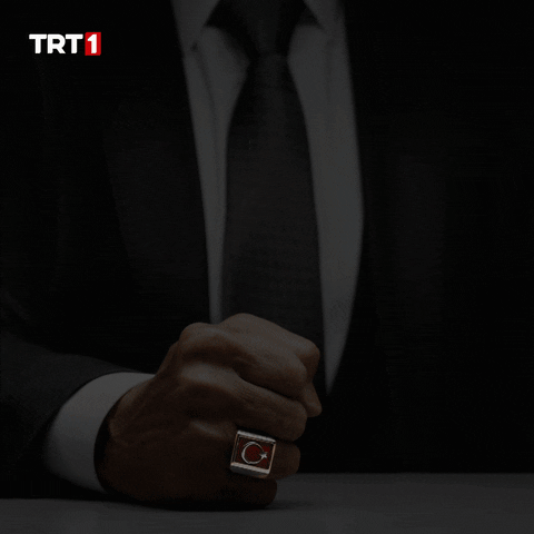 Turkish Flag Turkey GIF by TRT