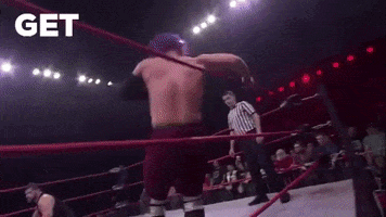 Wrestling GIF