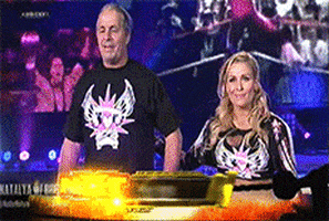  wwe nxt natalya bret hart the hit man GIF