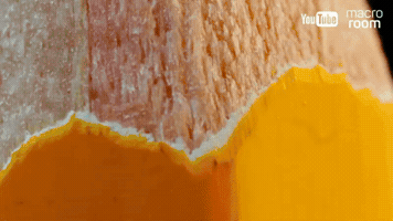 MacroRoom  GIF