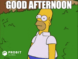 Homer Simpson Reaction GIF by ProBit Global