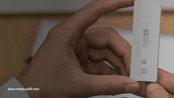 Medusa19 GIF