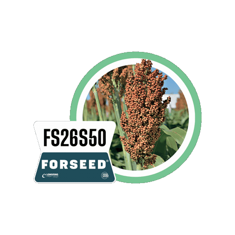 Forseedsementes Sticker by Longping High Tech
