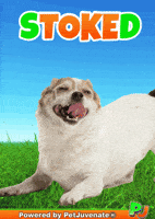 Henlo Hooman Fren GIF by PetJuvenate - PJ