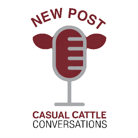 Podcast Beef Sticker by BullPEN