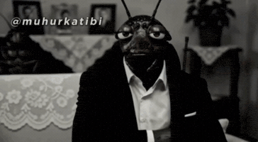 Muhurkatibi GIF