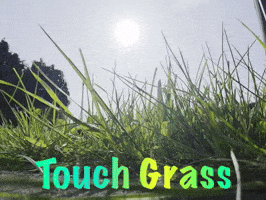 Grass Touch GIF