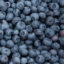 Blueberries GIFs - Get the best GIF on GIPHY