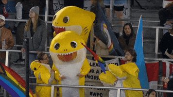 Womens Soccer Costume GIF by National Women's Soccer League