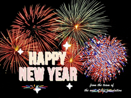 Celebrate Happy New Year GIF by The Seed of Life Foundation