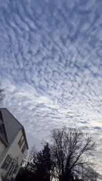 'Cotton Ball Clouds' Streak Across Pennsylvania Sky