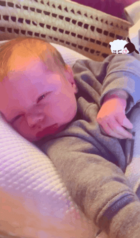 Lisatrauteuch lisatrauteuch deliza baby asleep GIF
