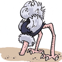 ostrich GIF