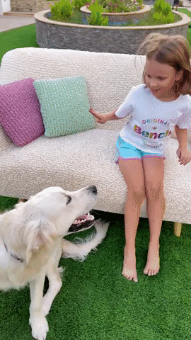 Golden Retriever Love GIF by mammamiacovers