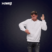 Moves Like Jagger Dancing GIF by SWR3