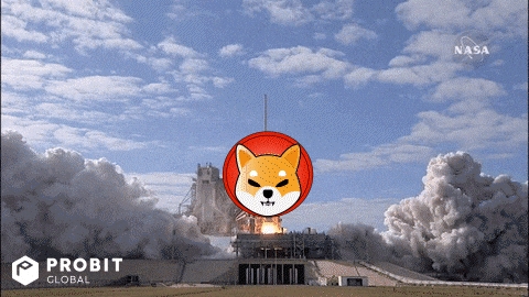 GIF uploaded by Deepti
