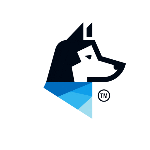 Playground Koda Sticker by Brooks Laich