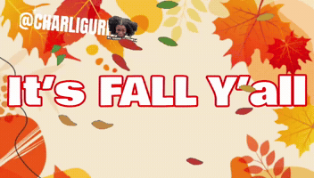 Fall Season GIF by Charli Gurl